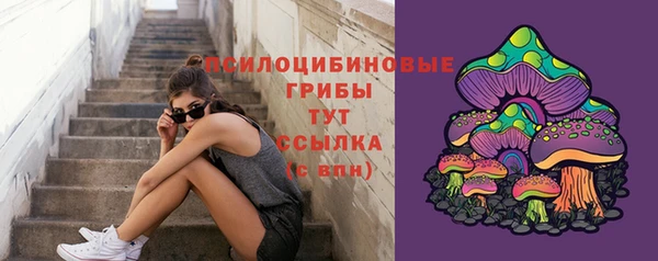 шишки Алексин