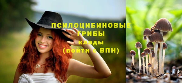 шишки Алексин