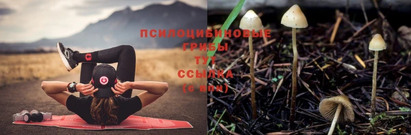 синтетический гашиш Осинники