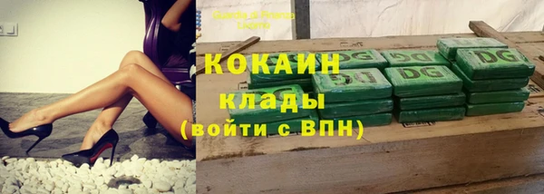 шишки Алексин