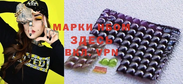 шишки Алексин