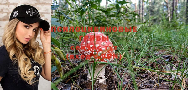 ГАЛЛЮЦИНОГЕННЫЕ ГРИБЫ Алзамай