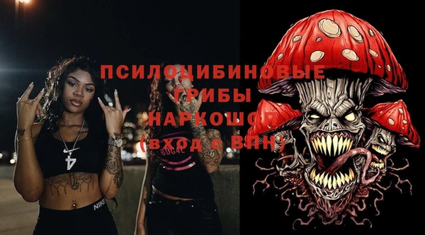 ГАЛЛЮЦИНОГЕННЫЕ ГРИБЫ Алзамай