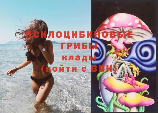 СК Алексеевка