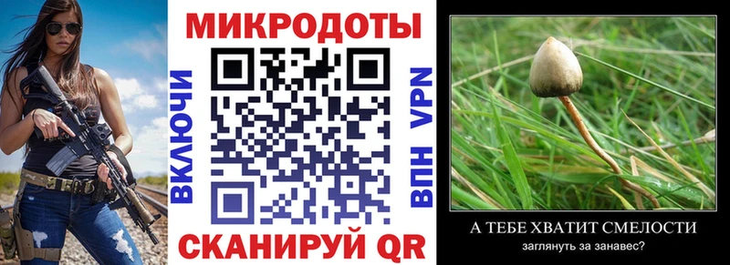 ссылка на мегу как войти  Всеволожск  Псилоцибиновые грибы Cubensis 